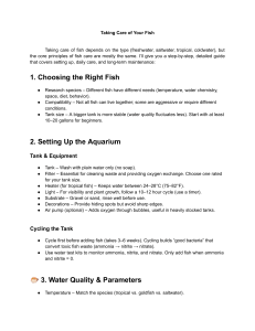 Beginner's Guide to Fish Care: Aquarium Setup, Water Quality & Health