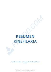 KINEFILAXIA RESUMEN DEFINITIVO