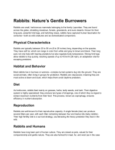 Rabbits: Nature's Gentle Burrowers - Facts & Information