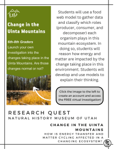 Uinta Mountains Ecosystem: Energy & Matter Cycling