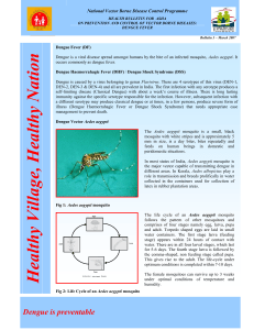 Dengue Fever: Prevention, Control & Aedes Mosquito - Health Bulletin