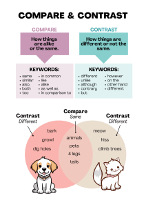 Compare and Contrast: Definitions, Keywords, and Examples