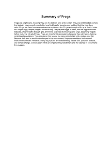 Frogs: Amphibian Life Cycle, Habitat, and Ecological Role Summary