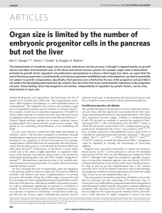 Organ Size Control: Progenitor Cells in Pancreas vs. Liver