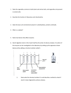 Biology Exam Questions: Cells, Enzymes, Genetics & Human Systems