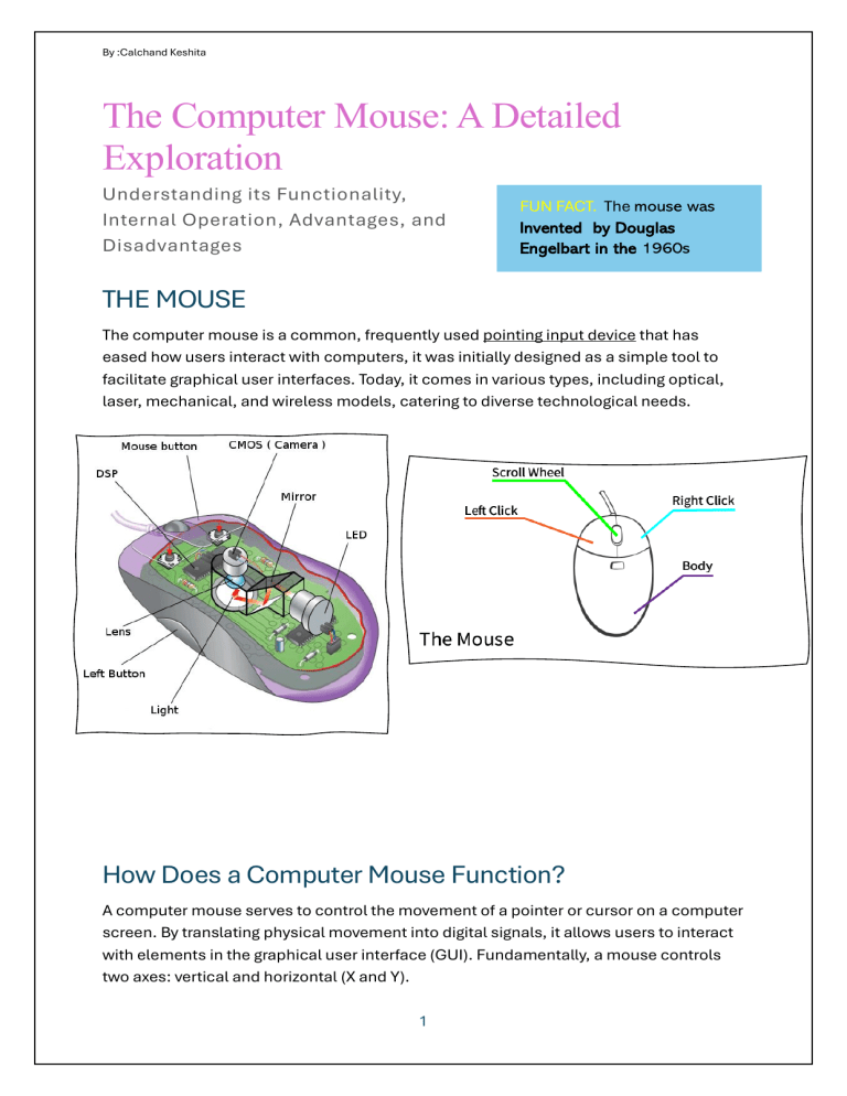 The Computer Mouse: Functionality, Operation, Advantages & Disadvantages
