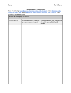 Prefrontal Cortex Fishbowl Prep: Brain Development & Policy Debate