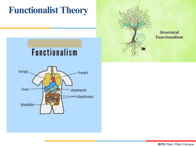 Functionalist Theory: Sociology Presentation