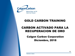 Capacitaci&oacute;n en Recuperaci&oacute;n de Oro con Carb&oacute;n Activado