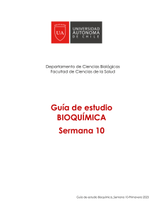 Gu&iacute;a de Estudio Bioqu&iacute;mica: Ciclo ATC y Fosforilaci&oacute;n Oxidativa