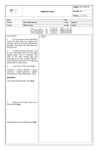 DNA Structure Worksheet: Base-Pair Rule & Nucleotides