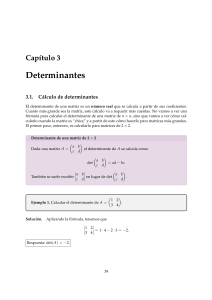Cap&iacute;tulo 3: Determinantes - &Aacute;lgebra 27