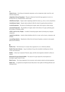 Stream Ecology Glossary: Key Terms & Definitions