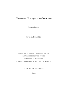 Electronic Transport in Graphene Dissertation