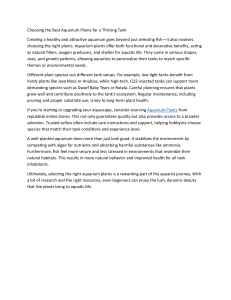 Choosing the Best Aquarium Plants for a Thriving Tank