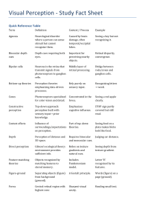 Visual Perception Study Fact Sheet: Cues, Theories & Disorders