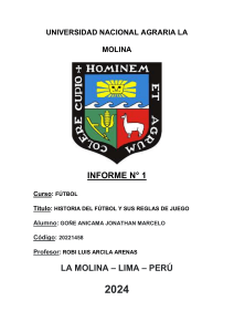 Historia del F&uacute;tbol y Reglas de Juego - Informe Universitario