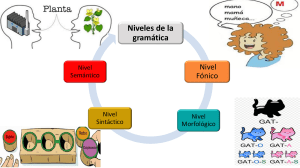 Niveles de la gram&aacute;tica: fon&eacute;tica, fonolog&iacute;a, morfolog&iacute;a y sintaxis