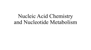 Nucleic Acid Chemistry & Nucleotide Metabolism: Purine Synthesis