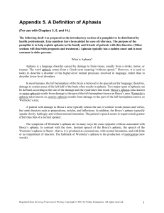 Aphasia Definition: Broca's & Wernicke's Aphasia Explained