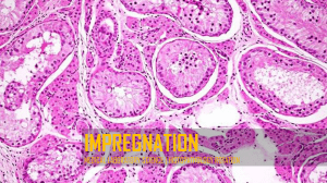 Histopathology Impregnation & Embedding: Medical Lab Science Guide