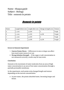 Osmosis in Potato Experiment: Data, Errors, and Conclusion