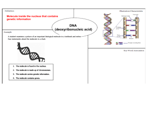 DNA: Genetic Information, Structure, and Characteristics Explained