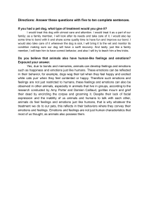 Pet Dog Treatment & Animal Emotions: A Q&A on Animal Welfare