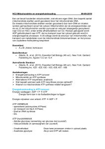 Mitochondri&euml;n & Energiemetabolisme: College Aantekeningen