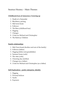 Seamus Heaney: Main Themes & Key Poems Analysis