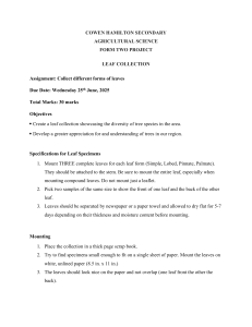 Agricultural Science Leaf Collection Project