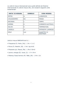 Le unit&agrave; di misura internazionali - vettori - forze