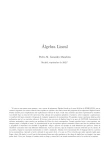 &Aacute;lgebra Lineal - Apuntes ETSIDI-UPM 2022-23