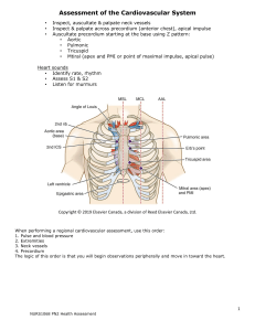 Cardiovascular System Assessment Guide: Nursing Health Assessment