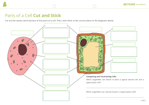 Parts of a Cell Cut and Stick Worksheet