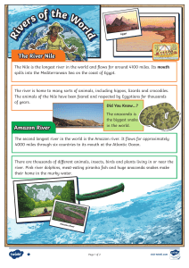 Rivers of the World Worksheet: Geography Comprehension