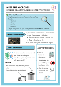 Meet the Microbes: Microbiology Basics