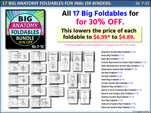17 Big Anatomy Foldables for Science Class