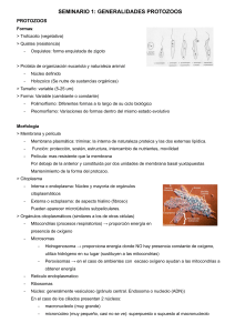 SEMINARIO 1