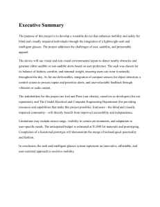 Wearable Device for Blind: Sash & Intelligent Glasses Project Summary