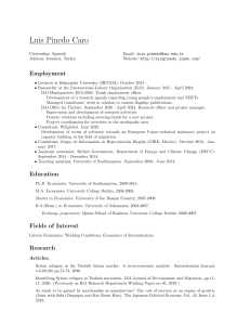 Luis Pinedo Caro CV | Labour Economics Researcher & Lecturer