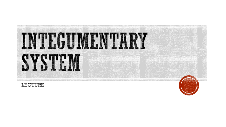 Integumentary System Lecture: Skin Anatomy, Functions & Glands