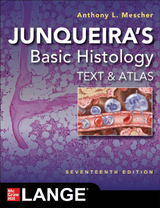 Junqueira's Basic Histology: Text and Atlas - 17th Edition by Mescher