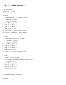 Rutina de Gimnasio de 5 D&iacute;as