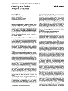 Clearing Brain's Amyloid Cobwebs: A&beta; Degradation in Alzheimer's Disease