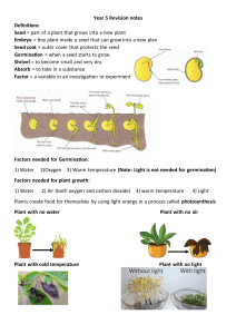 Year 5 Science: Plant Revision Notes - Seeds & Germination