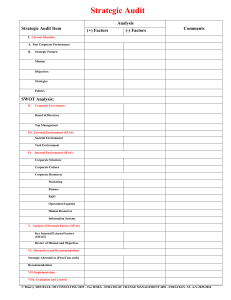 Strategic Audit Framework Outline