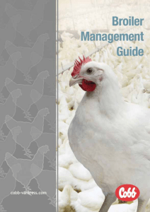 Cobb Broiler Management Guide: Housing, Ventilation & Health