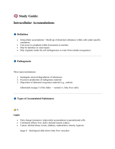 Intracellular Accumulations Study Guide: Pathology & Mechanisms