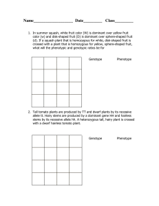 Genetics Dihybrid Cross Problems & Answer Key | Biology Worksheet